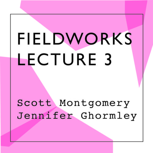 Fieldworks Lecture 3