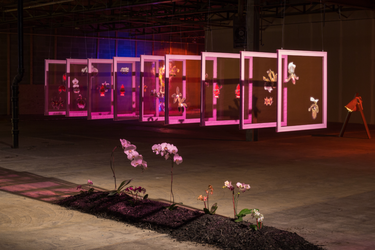Indoor Culture by Marsha Mack Indoor Culture by Marsha Mack, 2017. All photo credit - Matthew Pevear